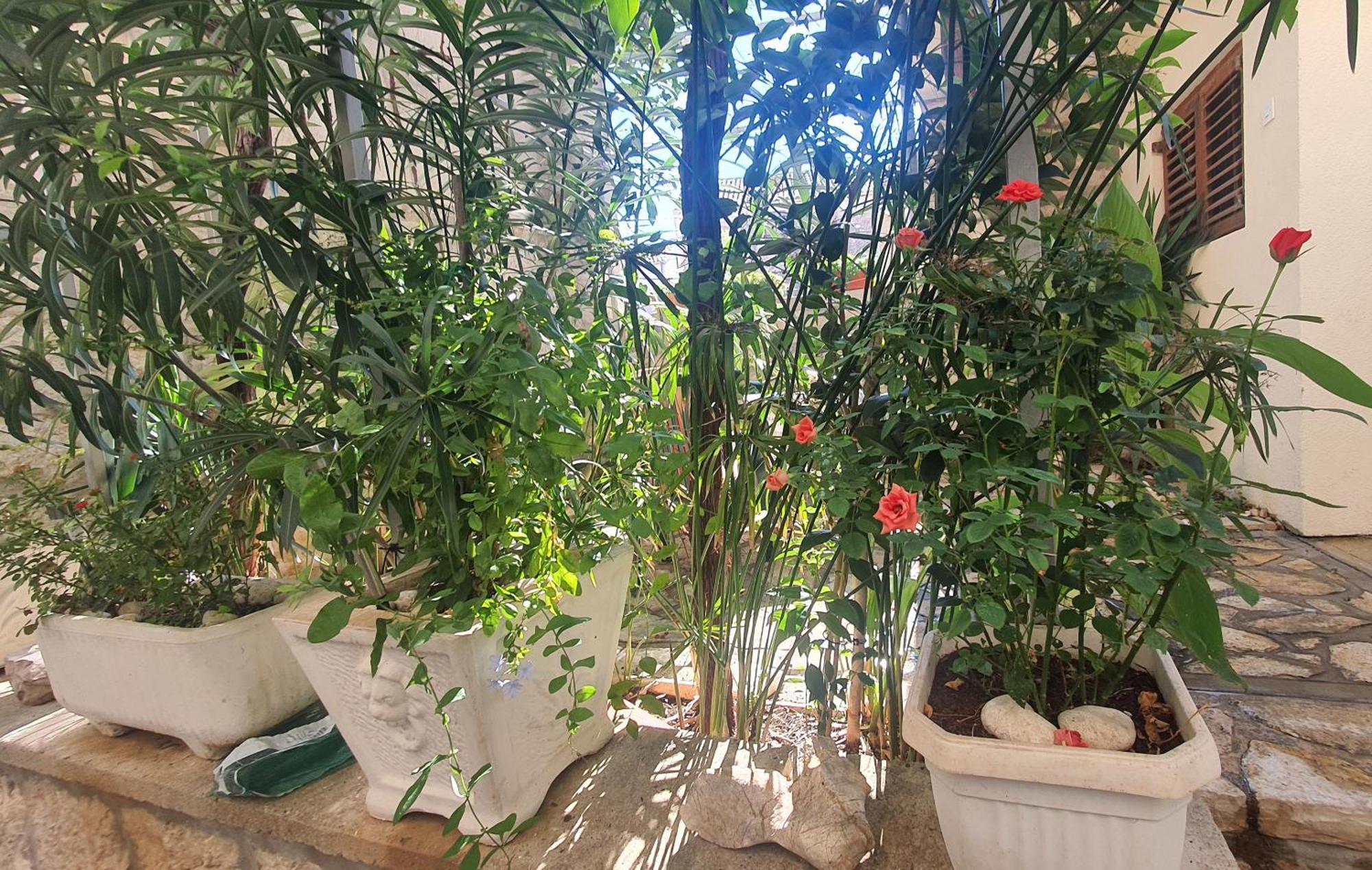 Moj Mir Apartament Betina (Sibenik-Knin)